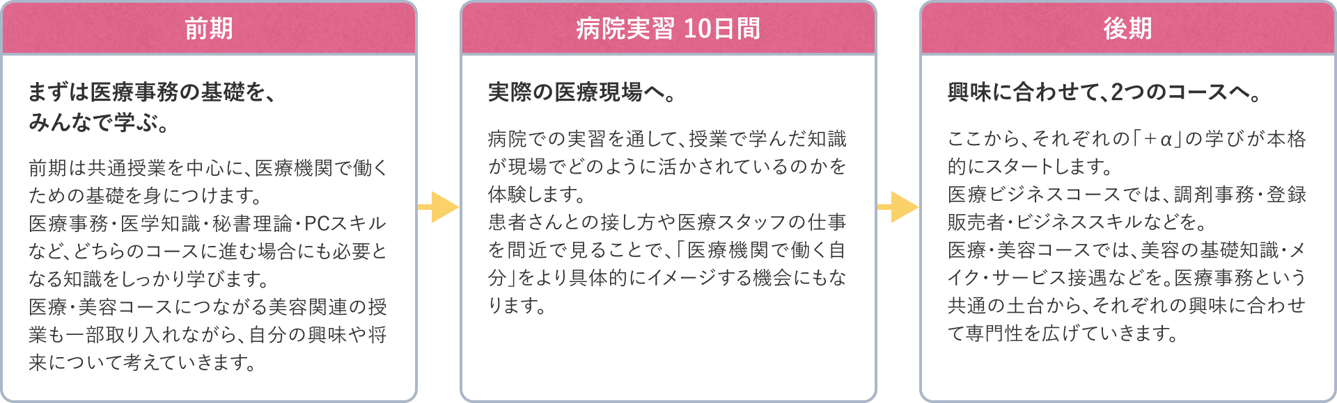 カリキュラムの流れ