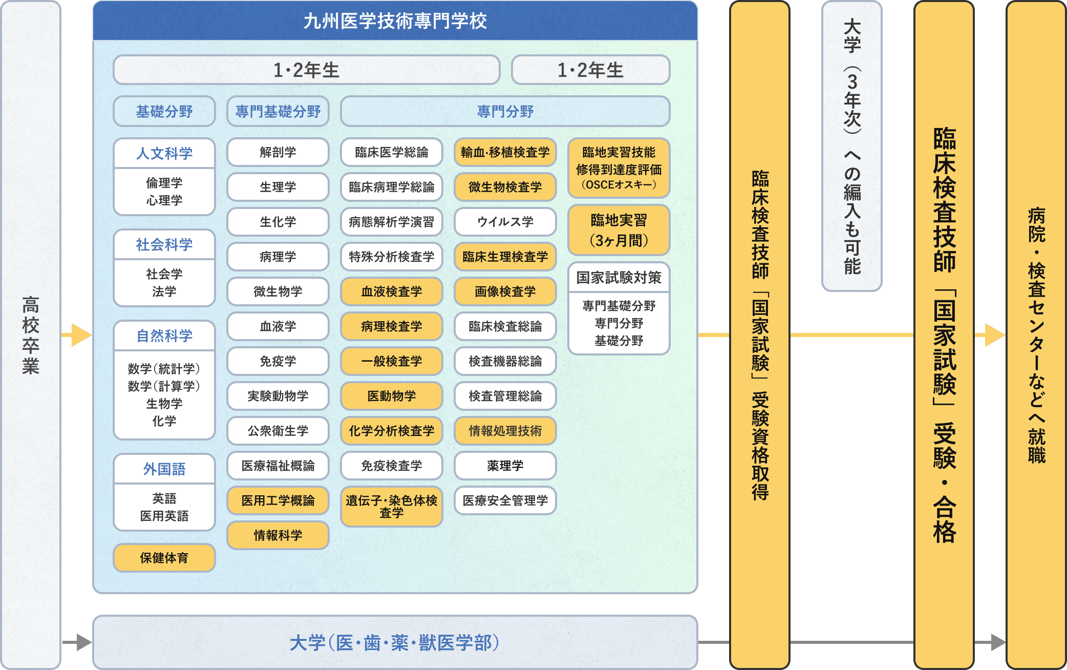 ３年間のカリキュラムの図表