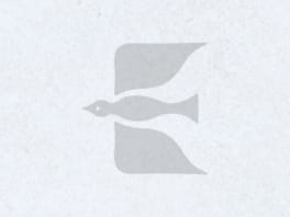 2024ひるじげ学校訪問　九州医学技術専門学校